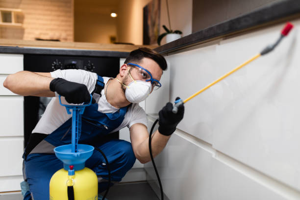 Best Exterminator Services  in Welby, CO