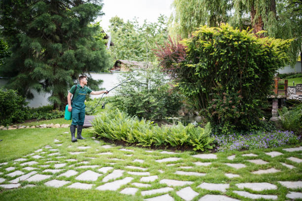 Best Pest Control for Businesses  in Welby, CO